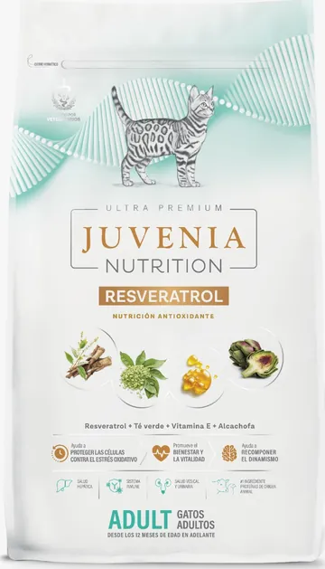 Bolsa de Juvenia Adult para gatos adultos