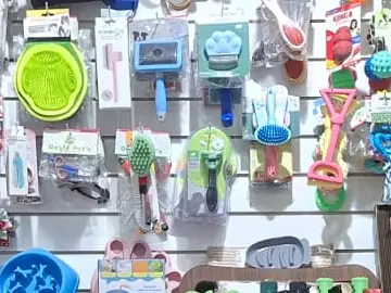 Cepillos y accesorios de higiene colgados en la pared del pet shop