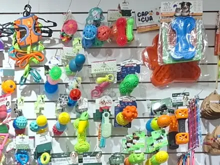 Pelotas, mordillos de goma y juguetes colgados en la pared del pet shop